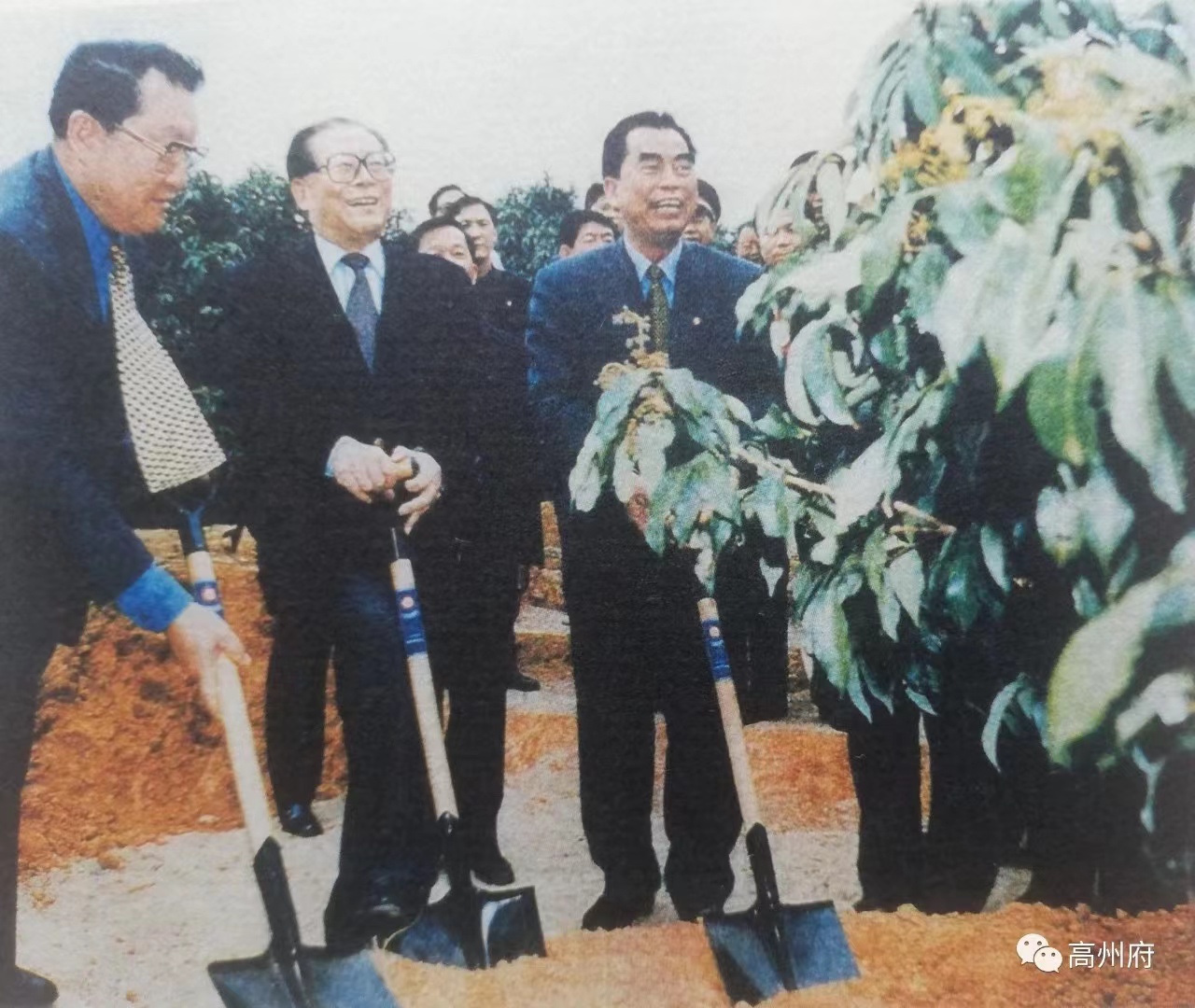 OUBAO电保-中国荔枝博物馆智慧用电改造